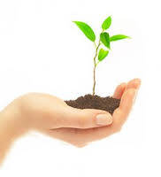 Image result for fertility counselling